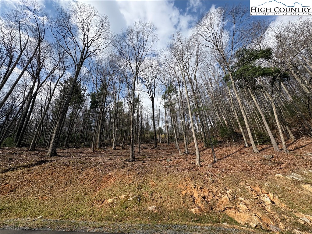 Tbd Wildcat Wilderness Parkway Property Photo 18