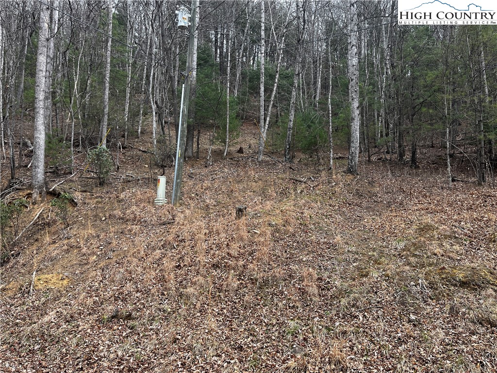 Lot 16 Bear Creek Lane Property Photo 2