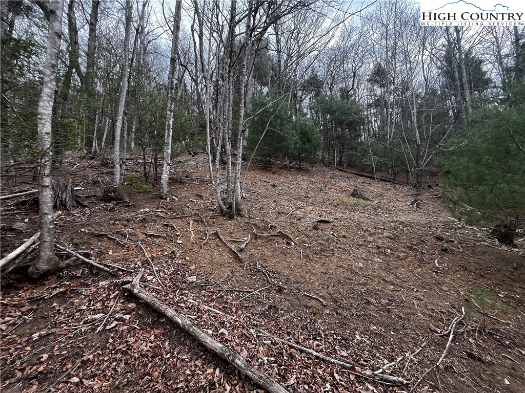 Lot 16 Bear Creek Lane Property Photo 3