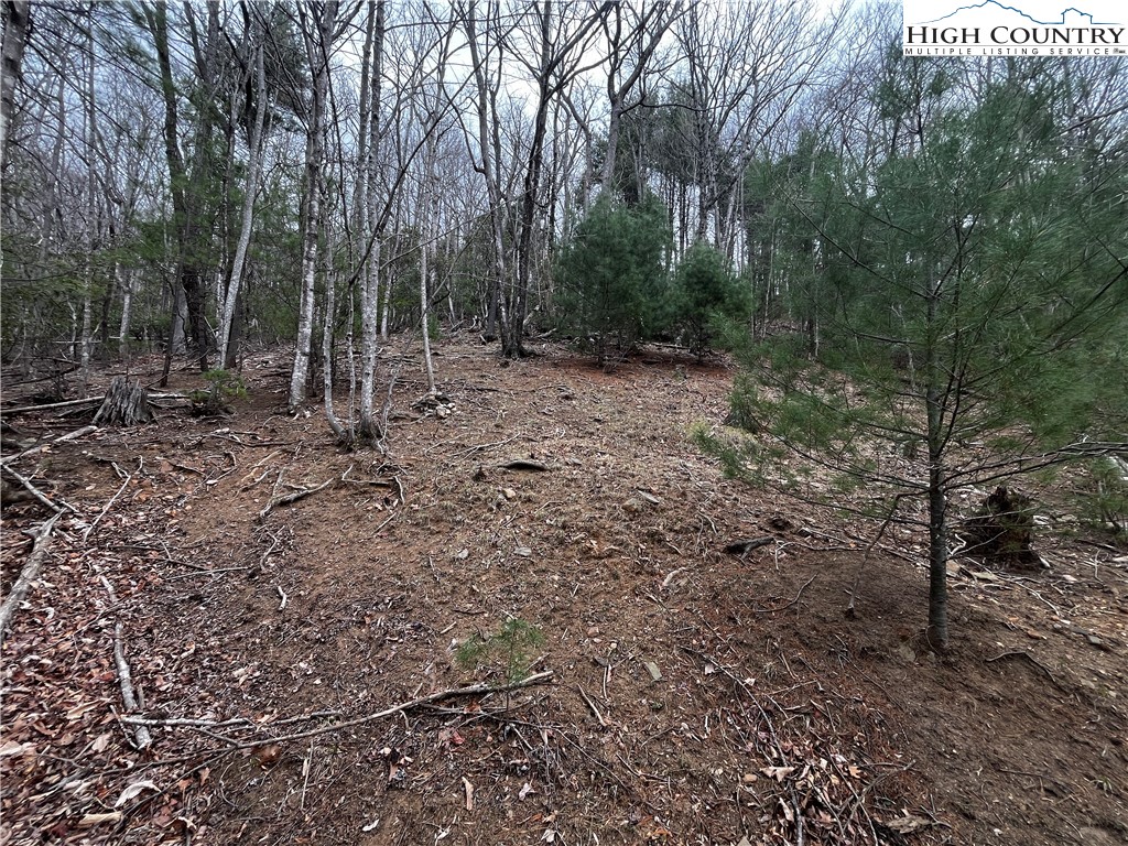 Lot 16 Bear Creek Lane Property Photo 4