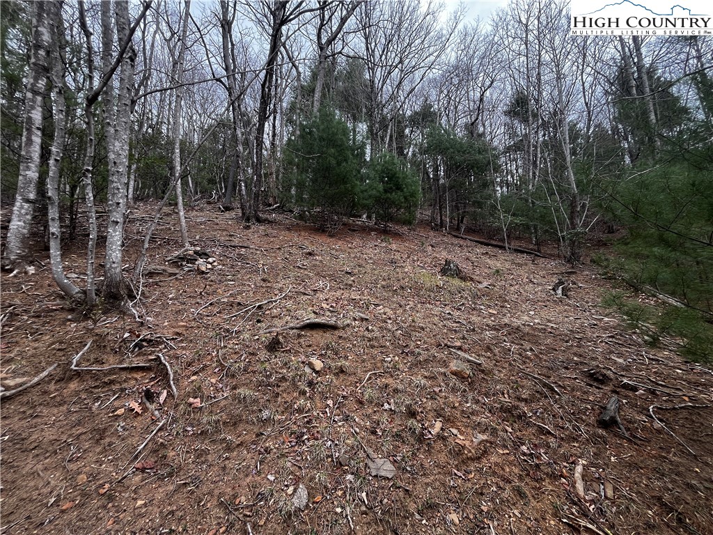 Lot 16 Bear Creek Lane Property Photo 5