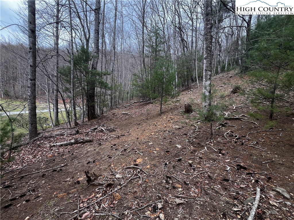 Lot 16 Bear Creek Lane Property Photo 6