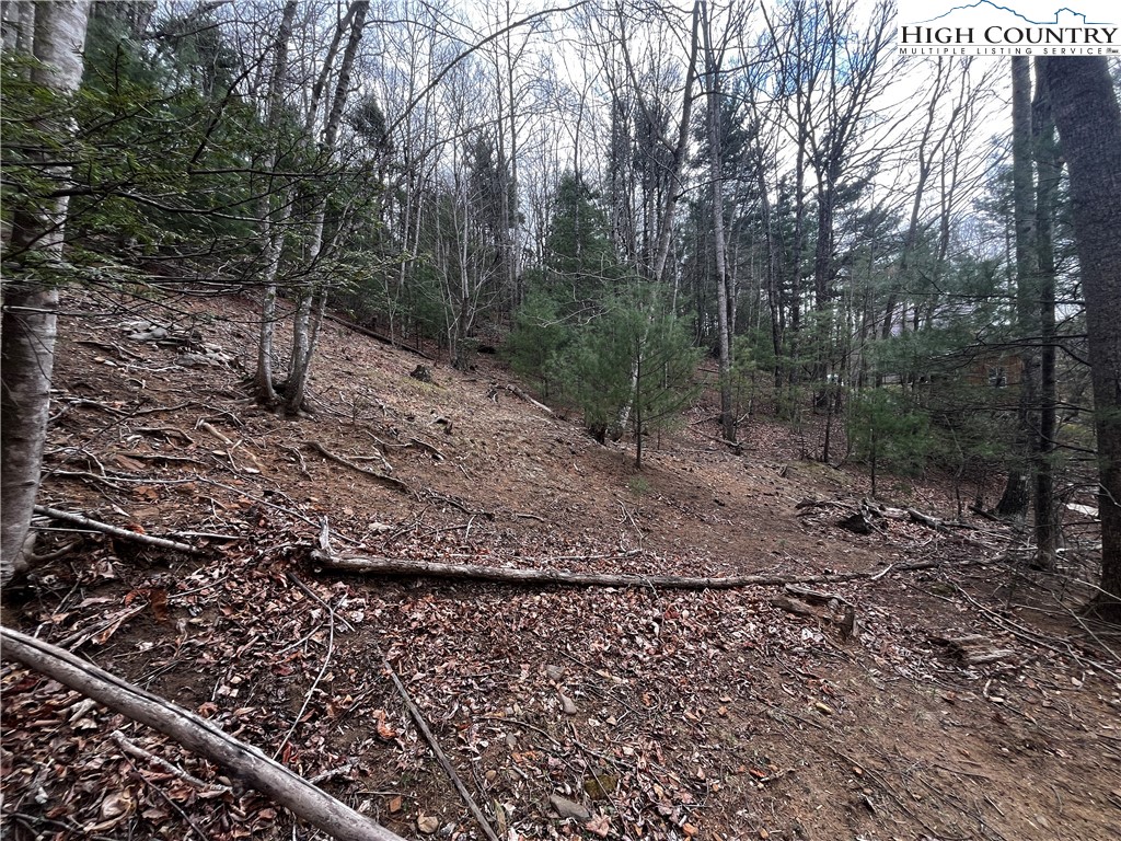 Lot 16 Bear Creek Lane Property Photo 7