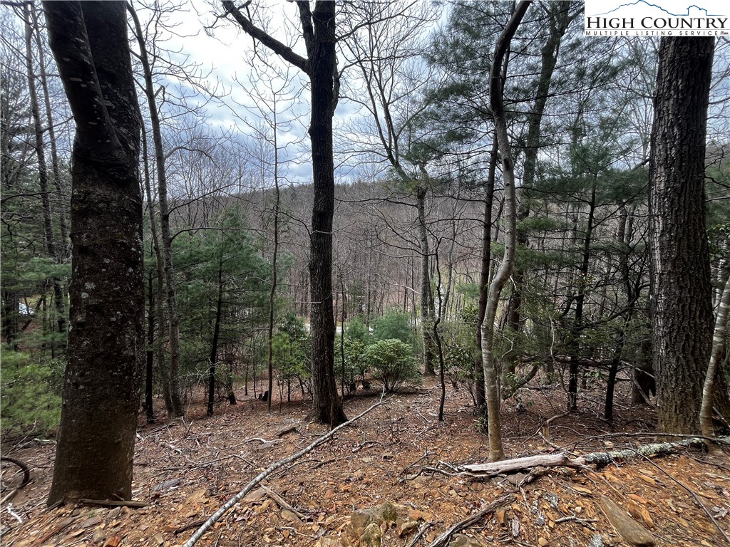 Lot 16 Bear Creek Lane Property Photo 8