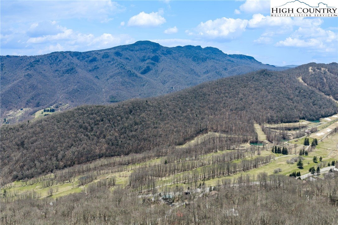 431 Cliffside Lane Property Photo 40