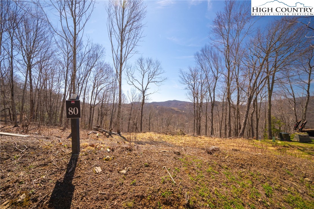 Lot 80 Bear Paw Road Property Photo 6