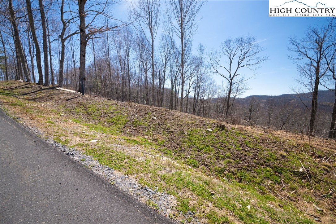 Lot 80 Bear Paw Road Property Photo 10