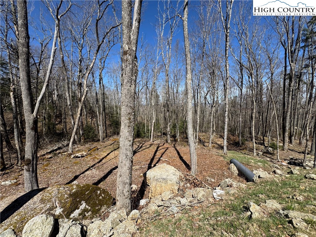 Es71 Twisted Oak Path Property Photo 2