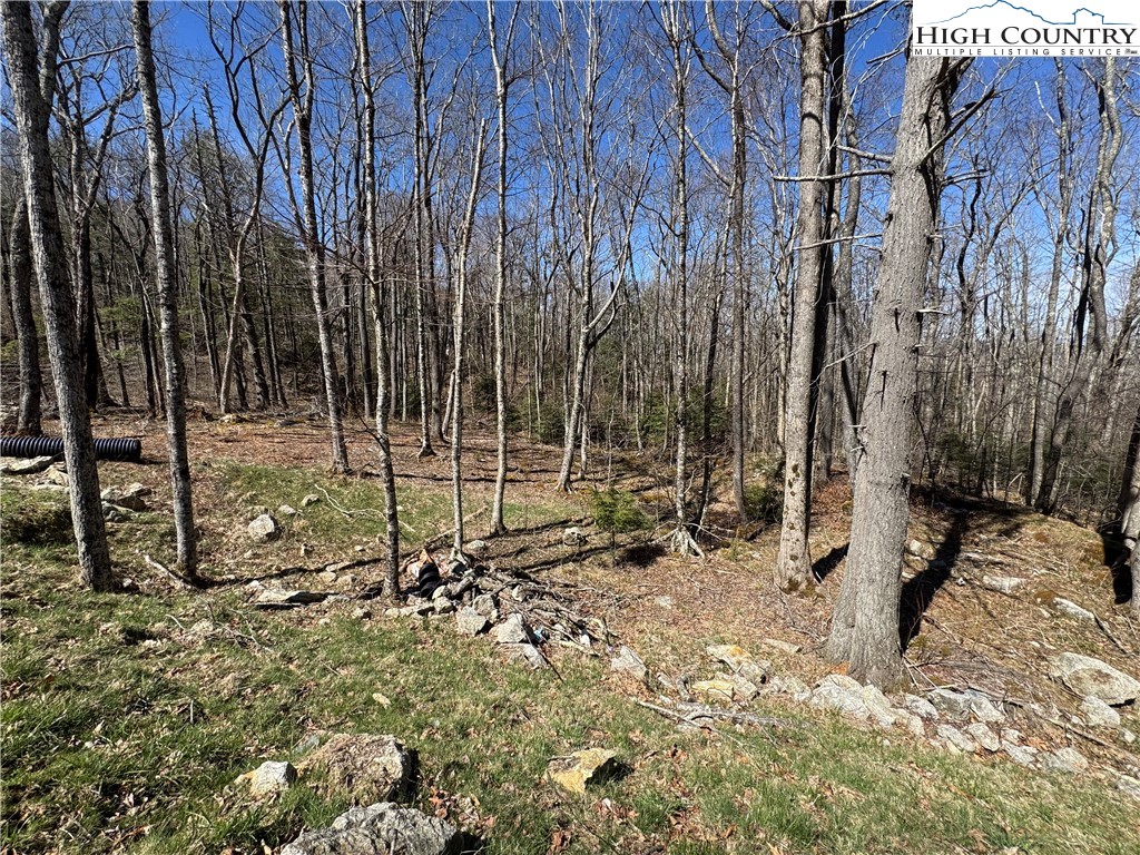 Es71 Twisted Oak Path Property Photo 3