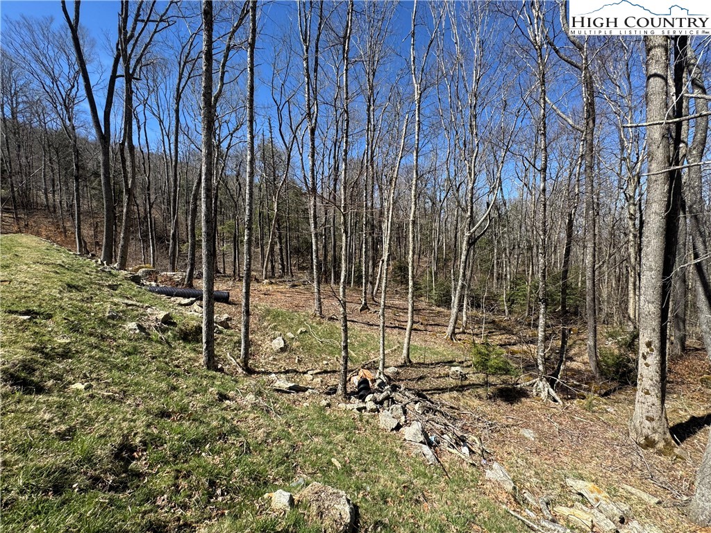Es71 Twisted Oak Path Property Photo 4