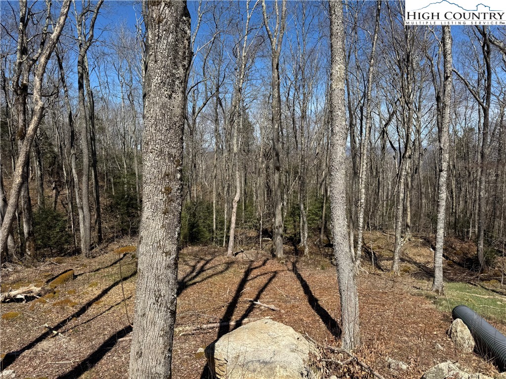 Es71 Twisted Oak Path Property Photo 5