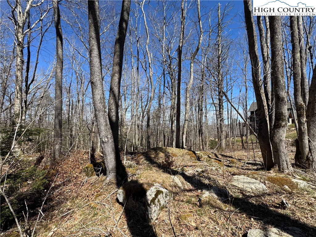 Es71 Twisted Oak Path Property Photo 6