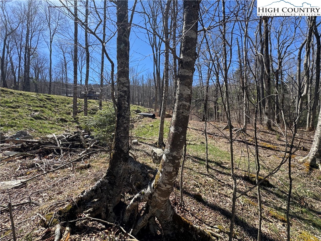 Es71 Twisted Oak Path Property Photo 7