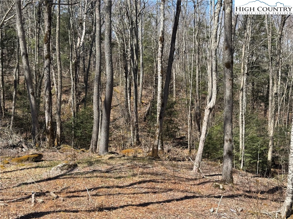 Es71 Twisted Oak Path Property Photo 8