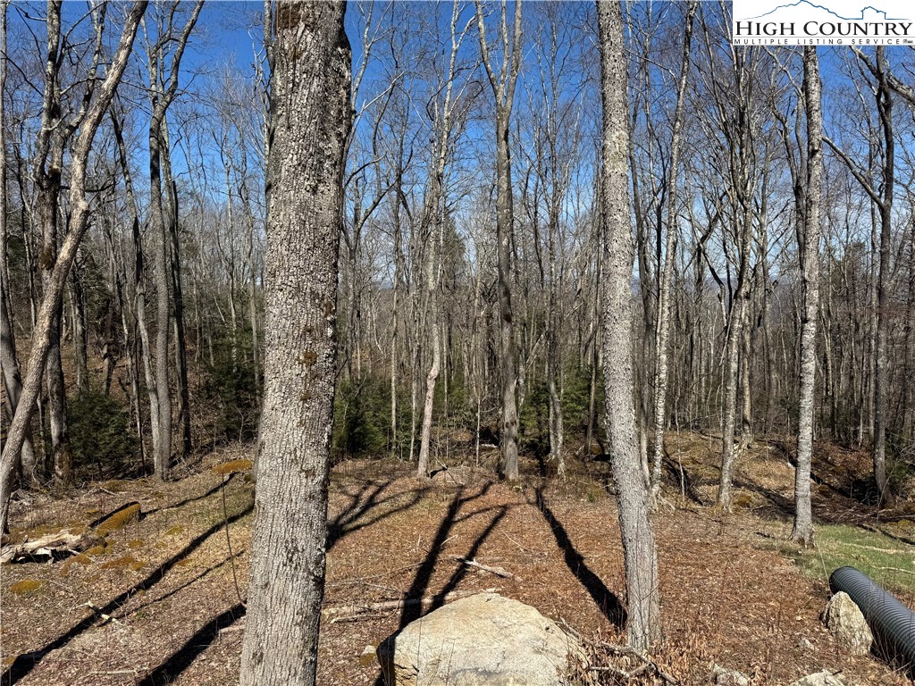 Es71 Twisted Oak Path Property Photo 13
