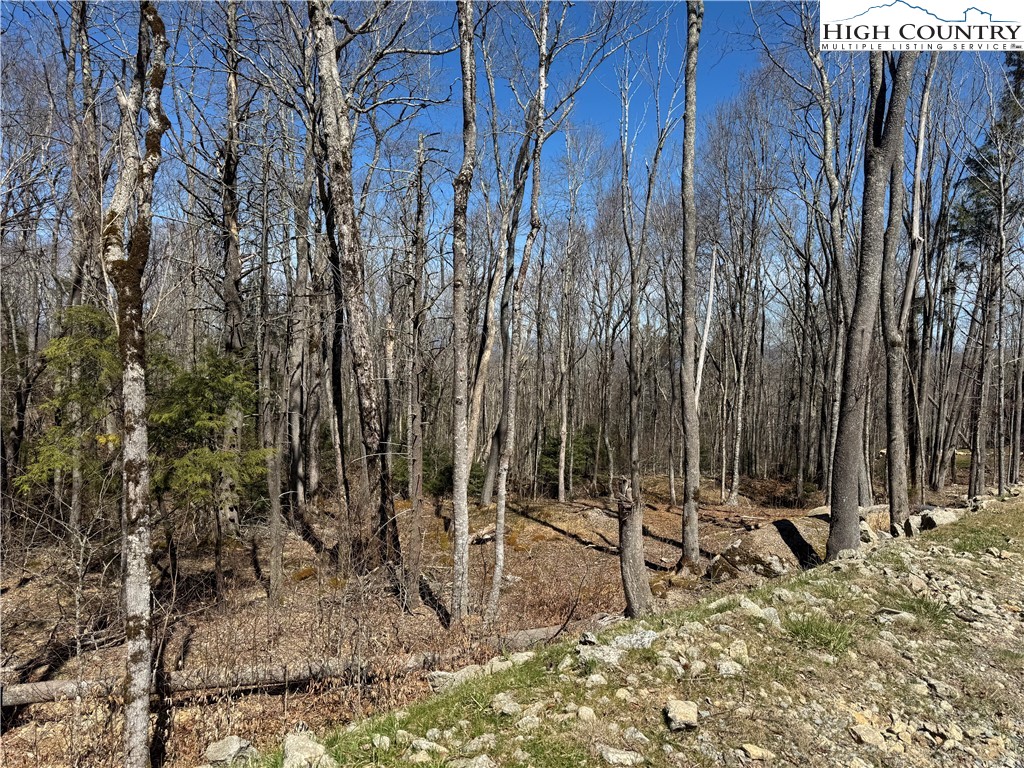 Es71 Twisted Oak Path Property Photo 14