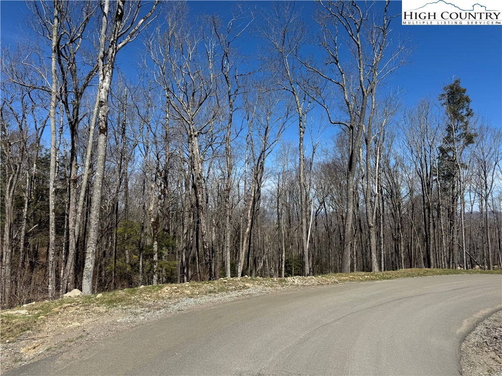 Es71 Twisted Oak Path Property Photo 16