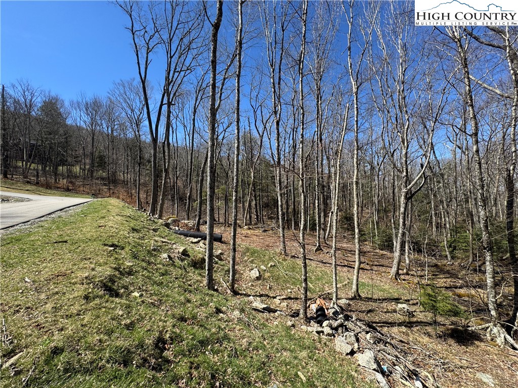 Es71 Twisted Oak Path Property Photo 17