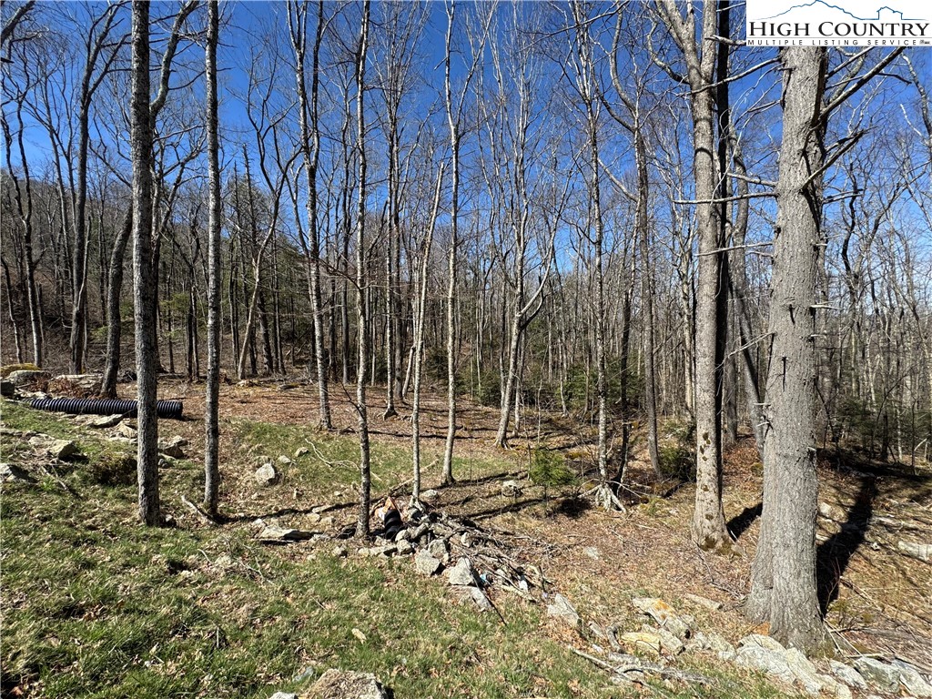 Es71 Twisted Oak Path Property Photo 18