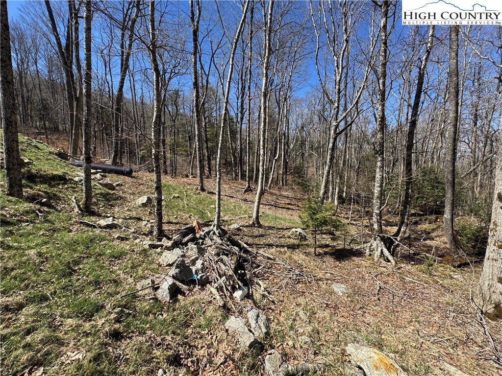 Es71 Twisted Oak Path Property Photo 20