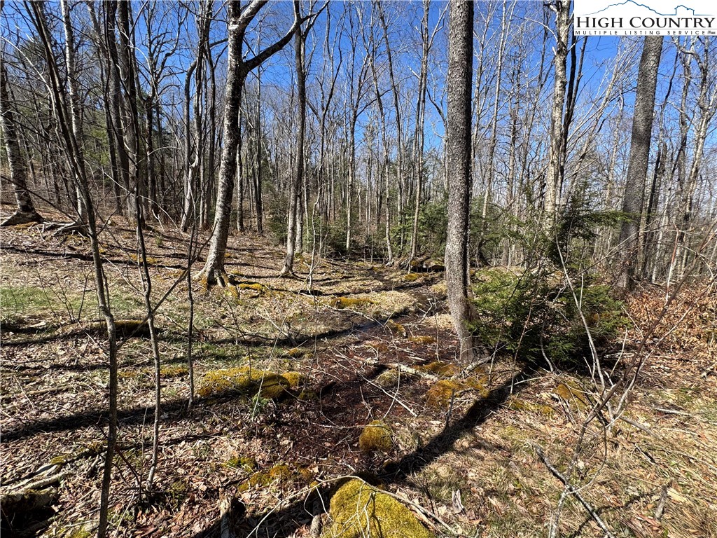 Es71 Twisted Oak Path Property Photo 21