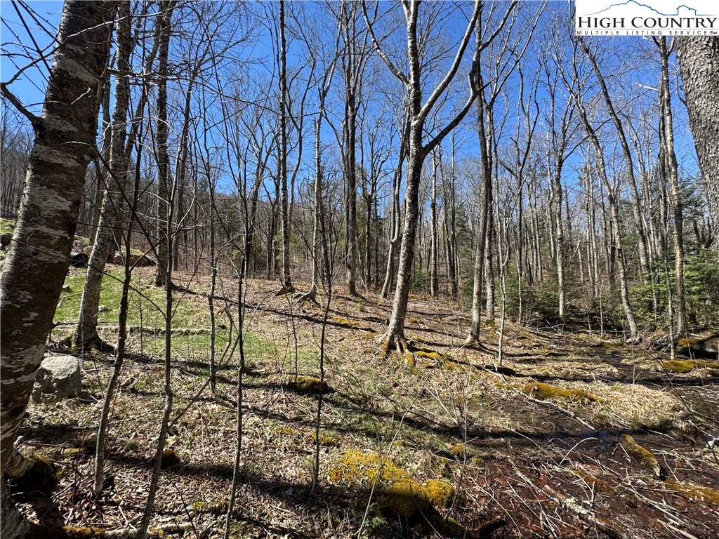Es71 Twisted Oak Path Property Photo 22