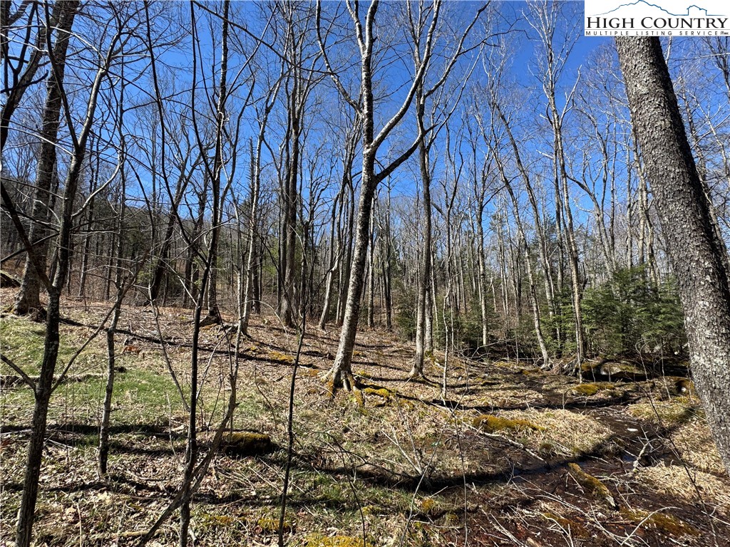 Es71 Twisted Oak Path Property Photo 23