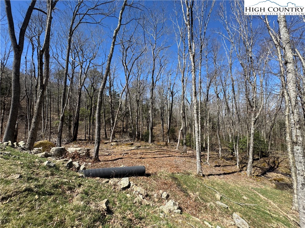 Es71 Twisted Oak Path Property Photo 24