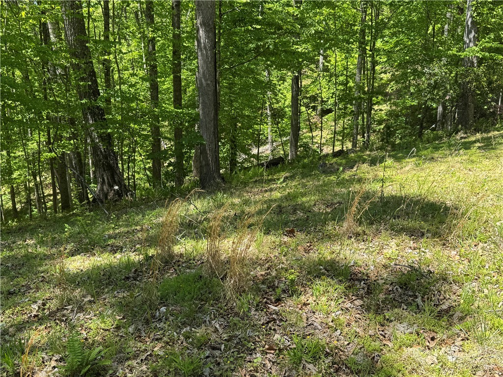 Lot 21 Happy Berry Drive Property Photo 4