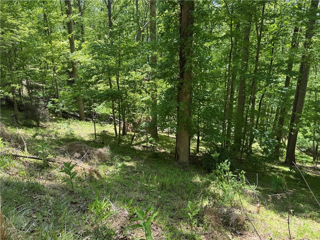 Lot 21 Happy Berry Drive Property Photo 6