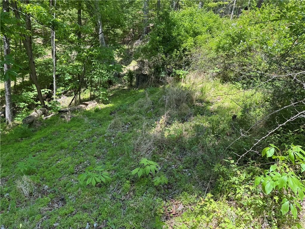 Lot 21 Happy Berry Drive Property Photo 7