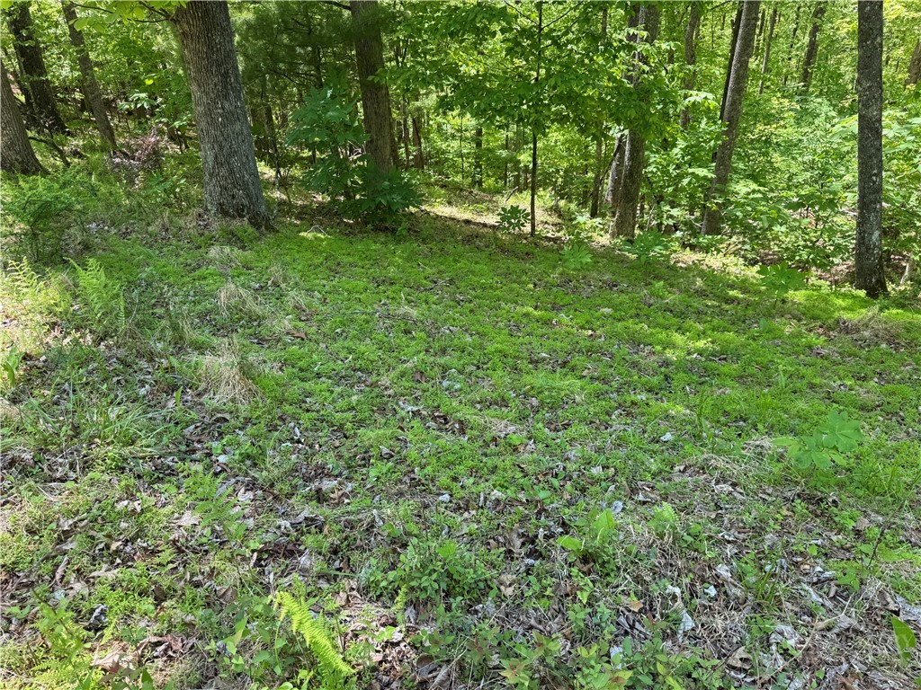 Lot 21 Happy Berry Drive Property Photo 8
