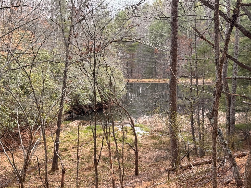 Lot 21 Happy Berry Drive Property Photo 11
