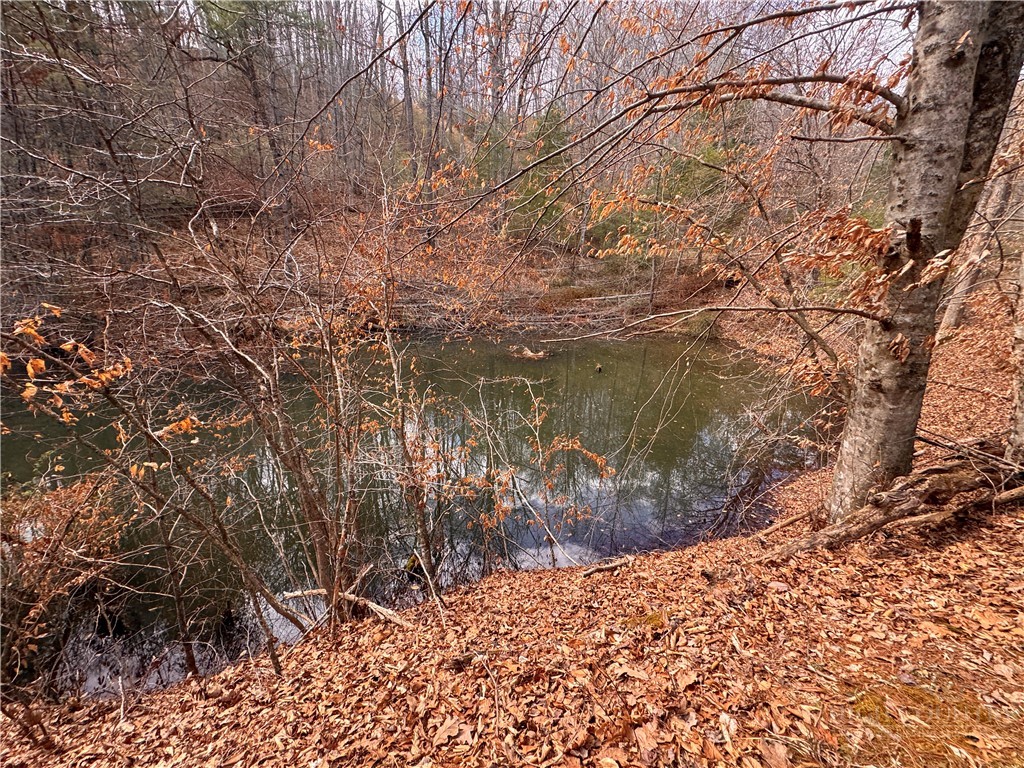 Lot 21 Happy Berry Drive Property Photo 12