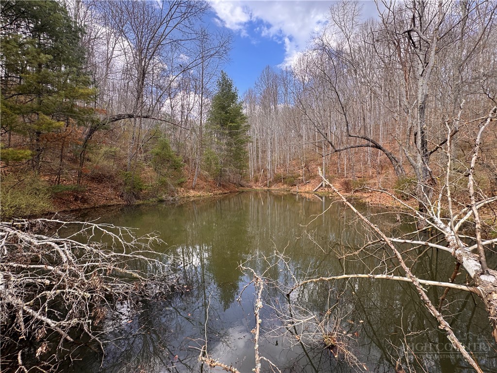 Lot 21 Happy Berry Drive Property Photo 13