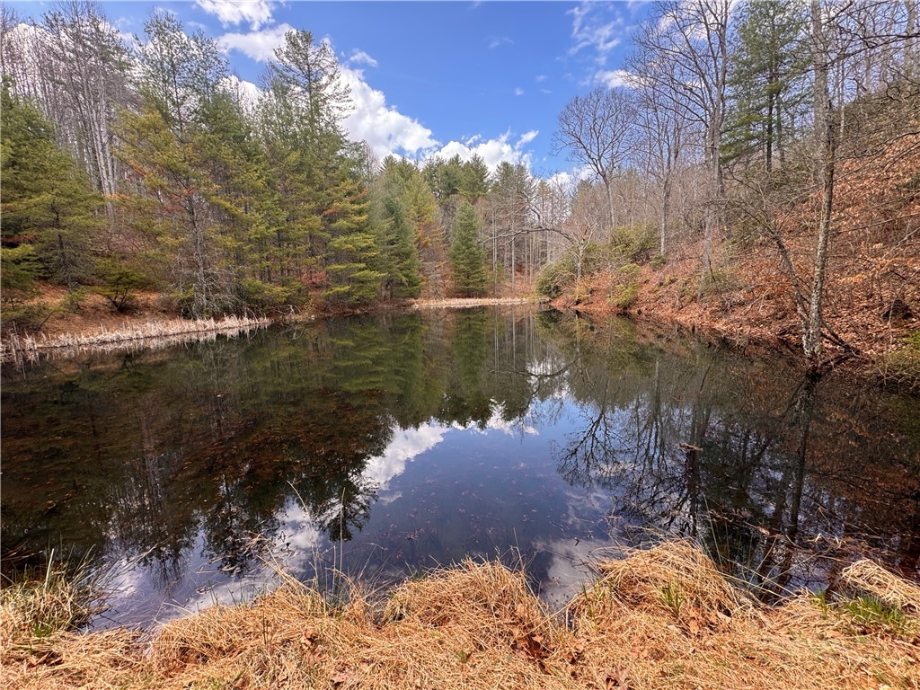 Lot 21 Happy Berry Drive Property Photo 14