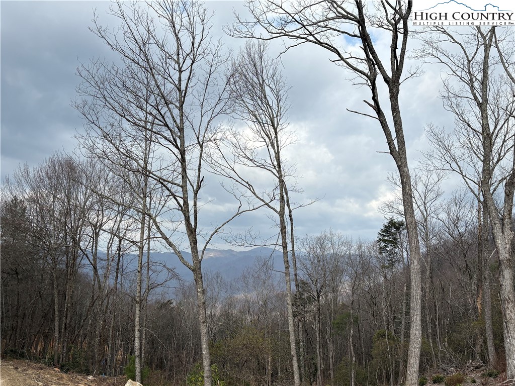 Tbd Angelfire Trail Property Photo 1