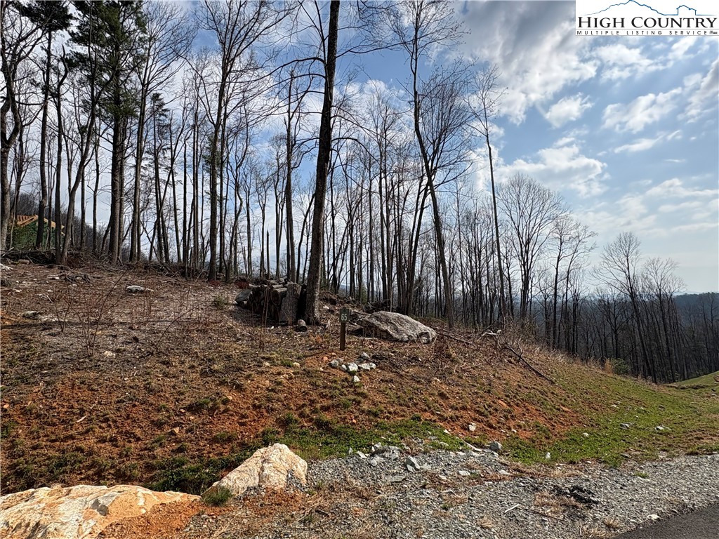 Tbd Angelfire Trail Property Photo 2