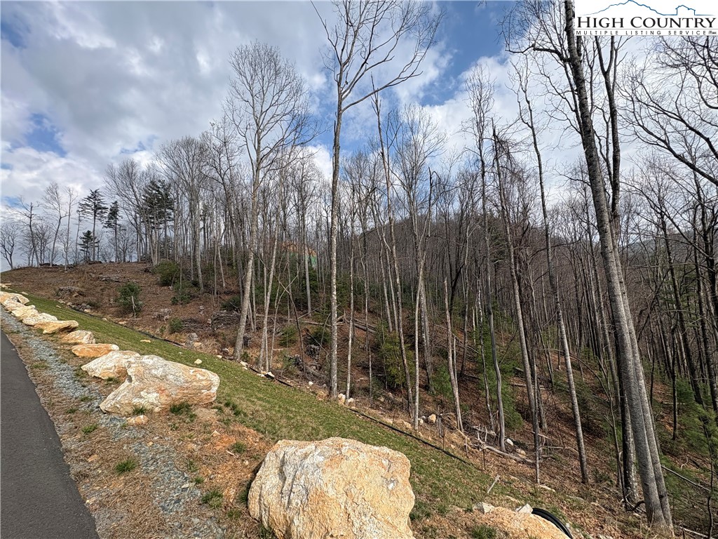 Tbd Angelfire Trail Property Photo 3