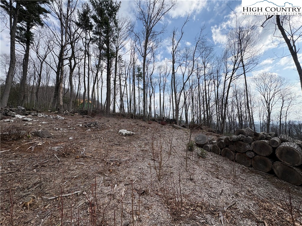 Tbd Angelfire Trail Property Photo 5