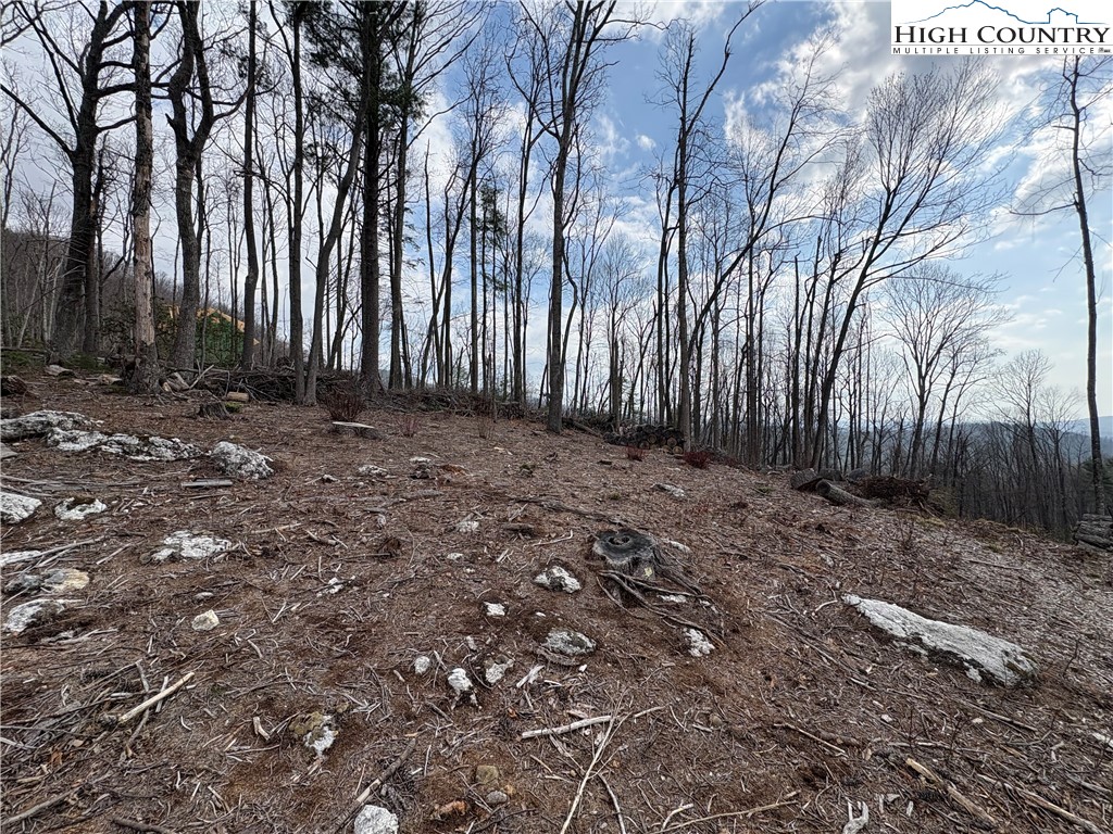 Tbd Angelfire Trail Property Photo 6