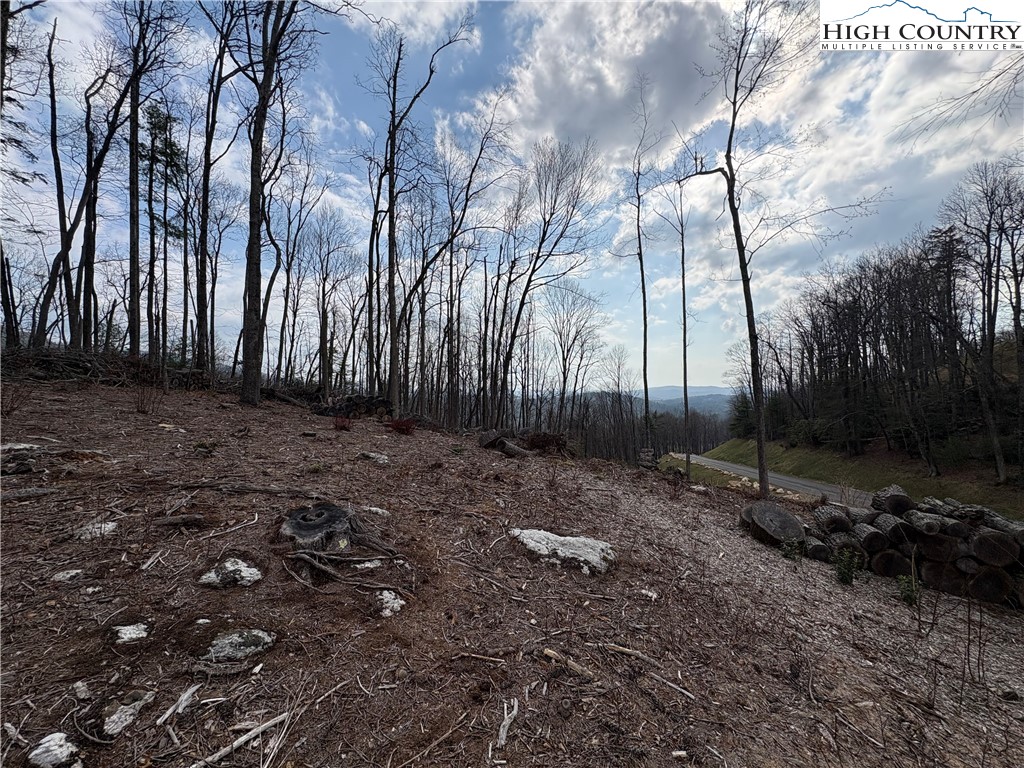 Tbd Angelfire Trail Property Photo 7