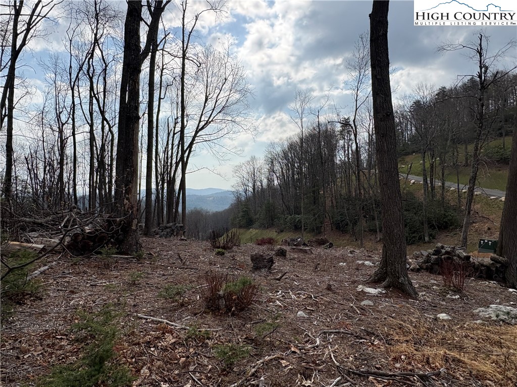 Tbd Angelfire Trail Property Photo 10