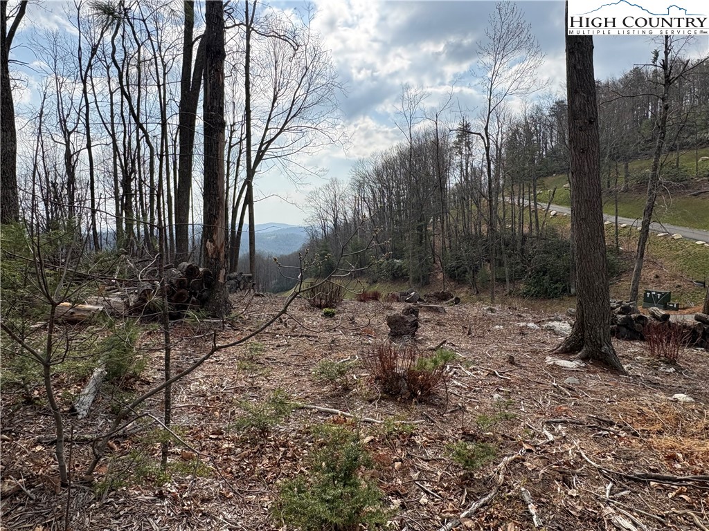 Tbd Angelfire Trail Property Photo 11