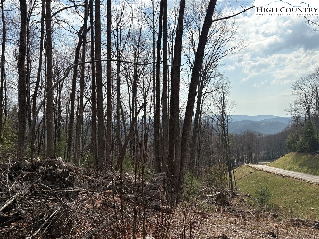 Tbd Angelfire Trail Property Photo 12