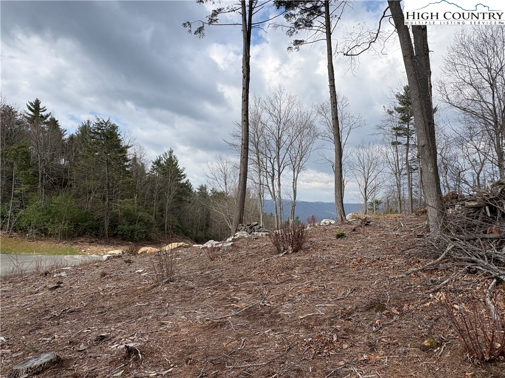 Tbd Angelfire Trail Property Photo 13