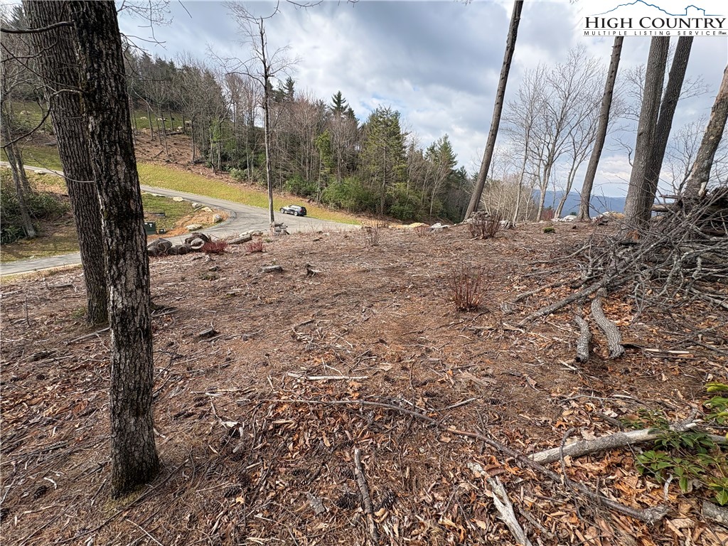 Tbd Angelfire Trail Property Photo 14
