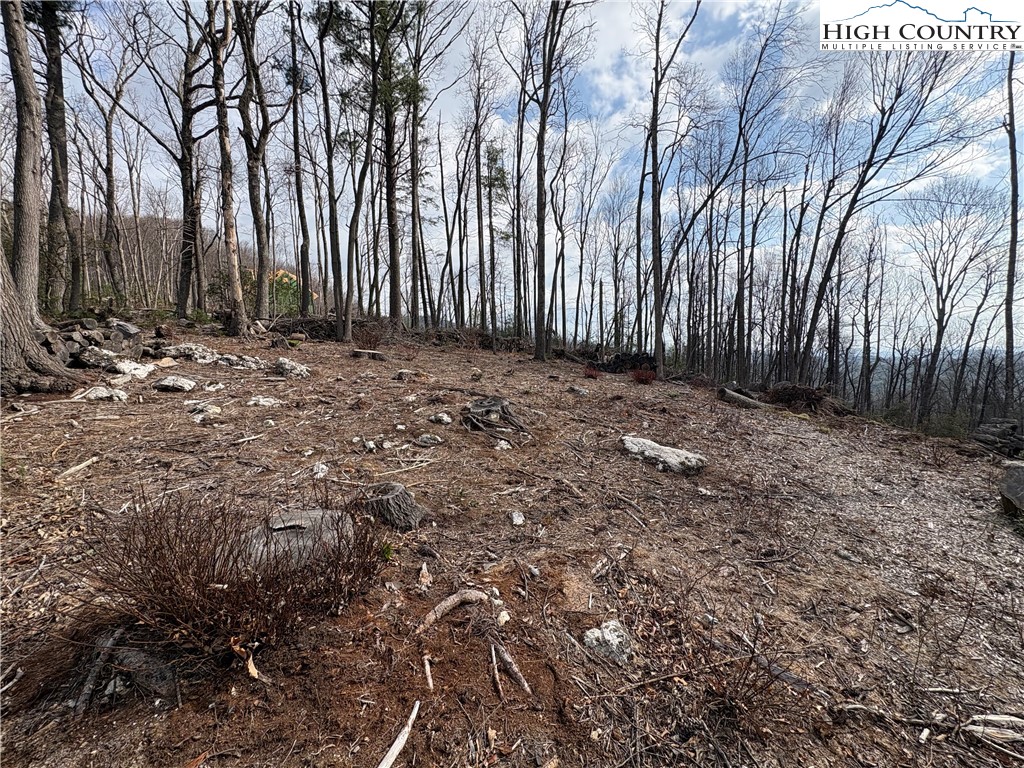 Tbd Angelfire Trail Property Photo 15