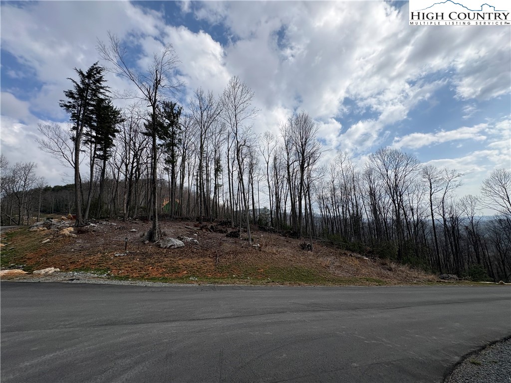 Tbd Angelfire Trail Property Photo 16