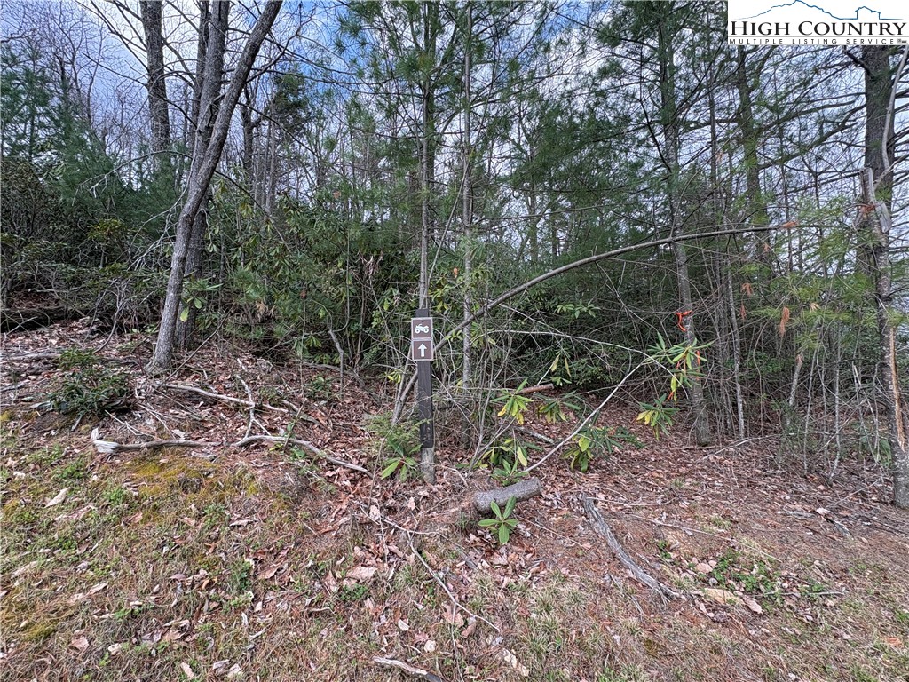 Tbd Angelfire Trail Property Photo 17